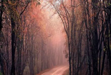 尤文图斯大将伤缺，冲击联赛冠军信心受挫