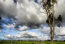 巴西队成功夺得世界杯季军，斩获奖牌