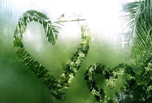 曼城继续胜利，巴黎圣日耳曼屡遭败绩