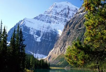 巴西队成功夺得世界杯季军，斩获奖牌