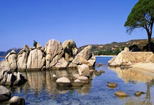 瑞典篮球联赛：斯德哥尔摩至关重要胜利